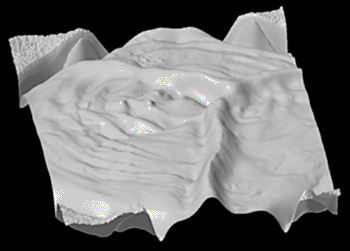 Imagen: Una representación en 3D del colon (Fotografía cortesía del Consorcio Madrid-MIT M+Vision).